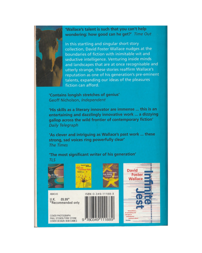 Brief Interviews with Hideous Men by David Foster Wallace