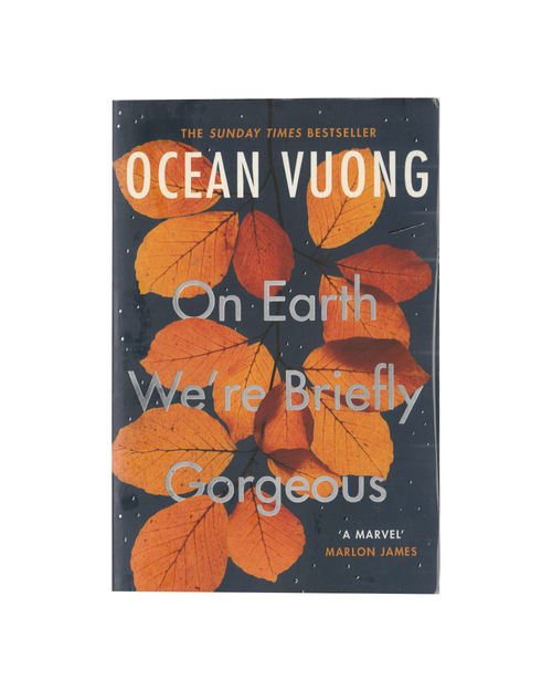 On Earth We're Briefly Gorgeous by Ocean Vuong